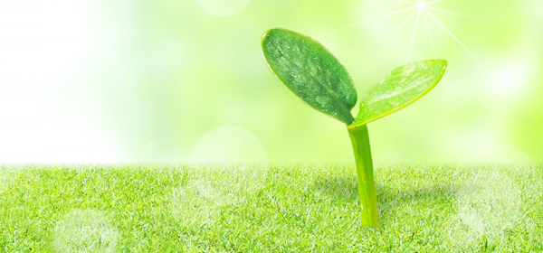 メロディー薬局の理念